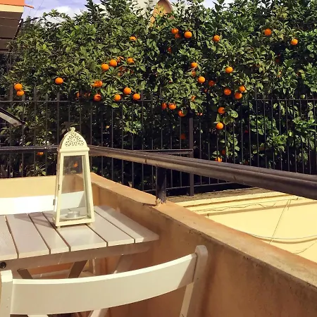 Euphorbia House, Confort E Intimita In Centro. Apartment