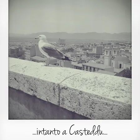 Apartment Euphorbia House, Confort E Intimita In Centro. Cagliari